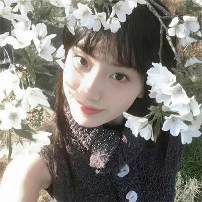 受伤的小鹿焦点图